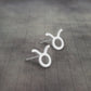 Zodiac Sign Stud Earrings