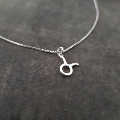 a silver necklace with a zodiac sign on it