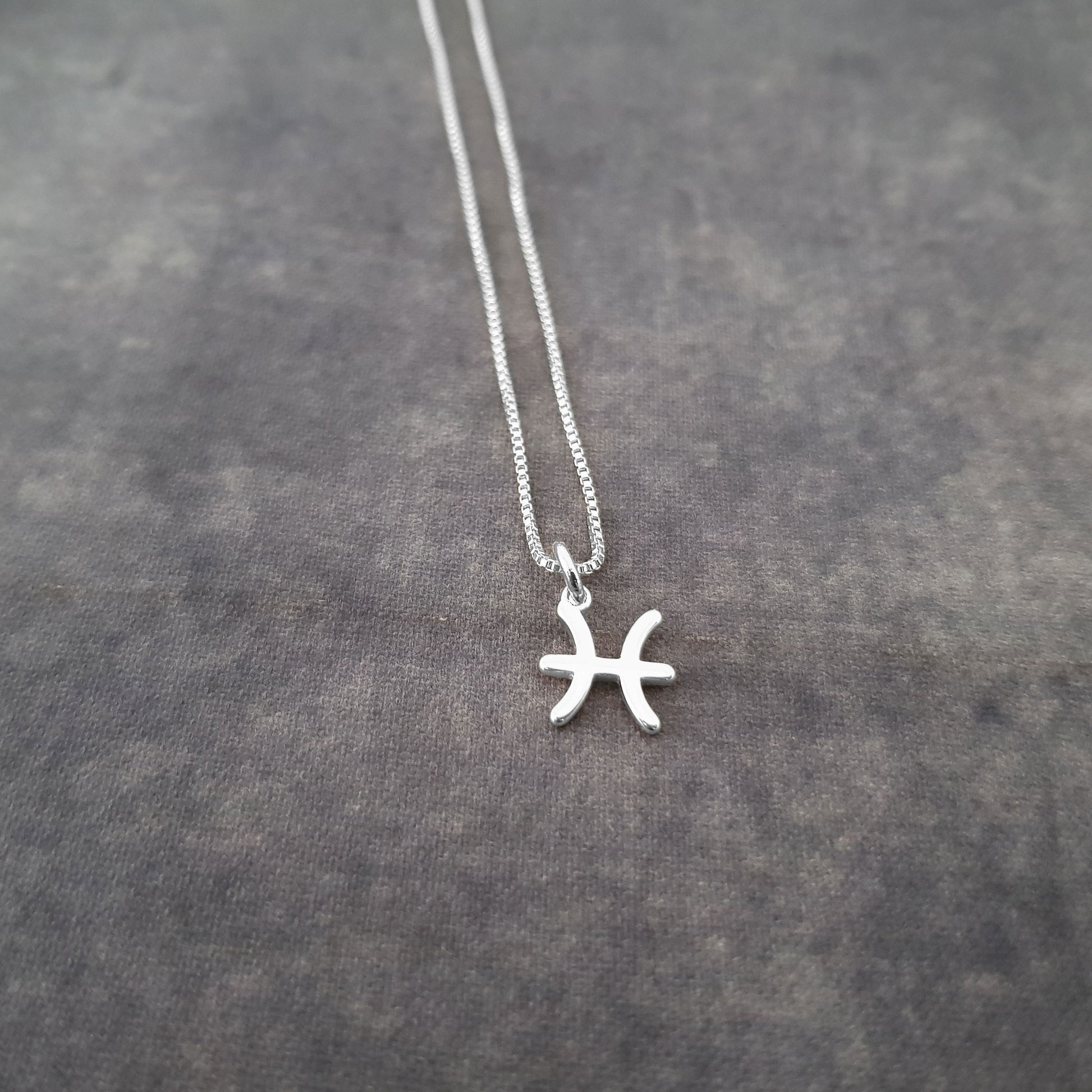 a silver necklace with a zodiac sign on it